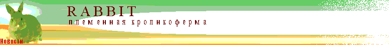 Новости